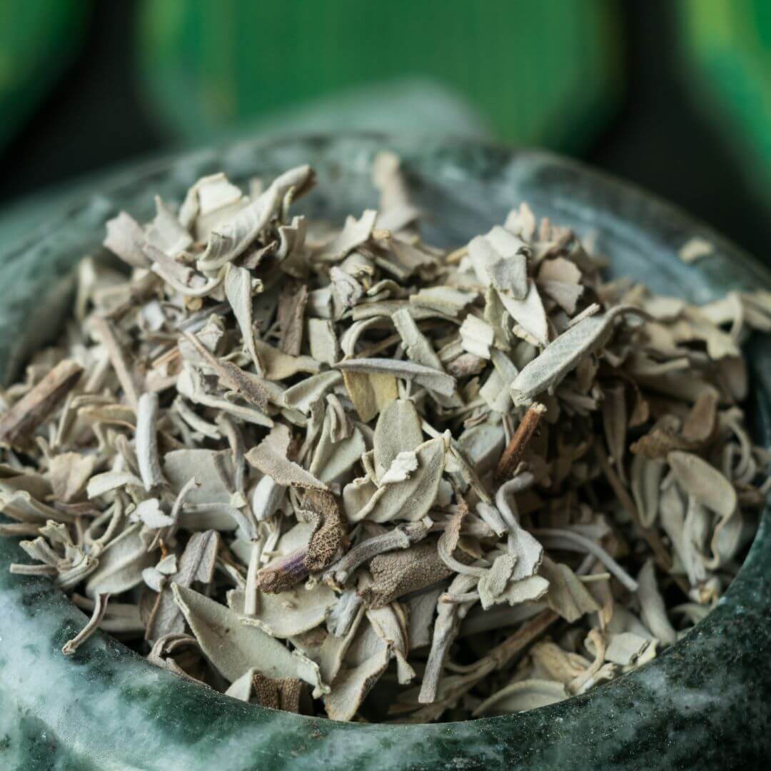 cha-de-salvia-tradicional-receita-beneficios