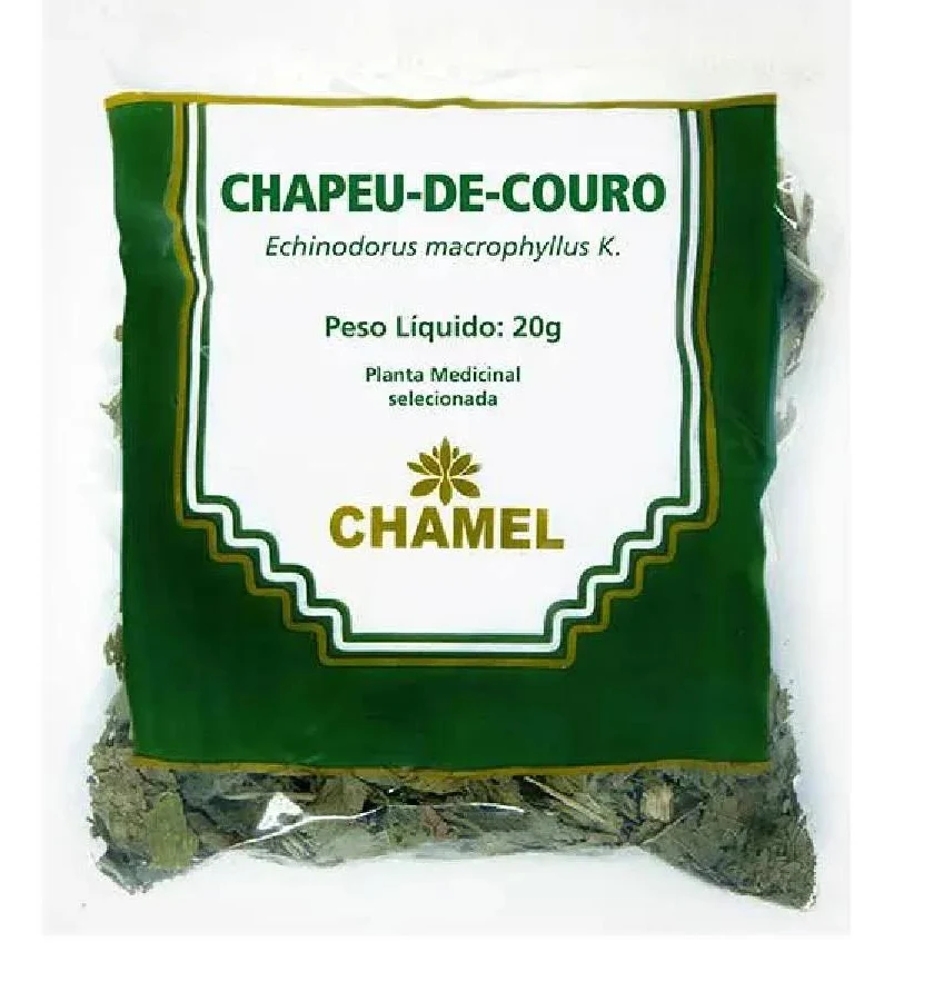 folhas secas de chapéu-de-couro