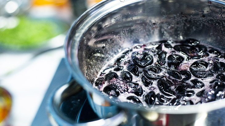 cascas de jabuticaba