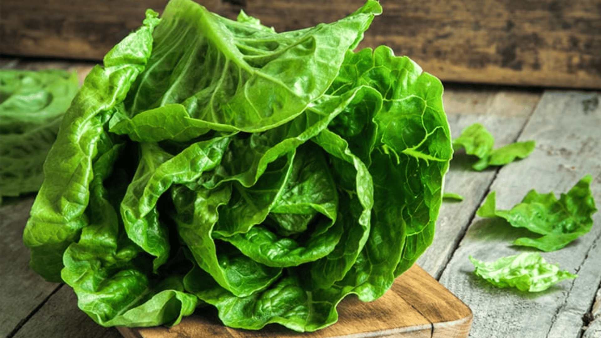 Chá de almeirão detox