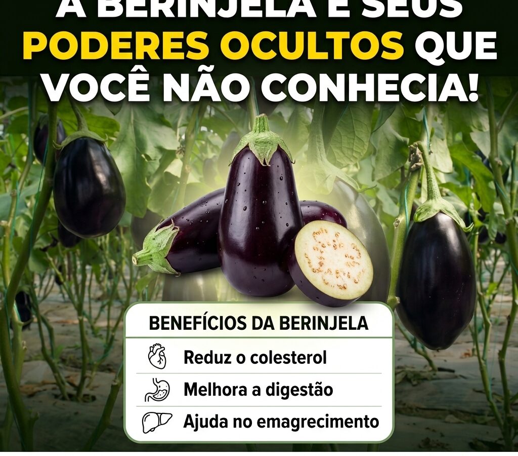 Água de Berinjela pela Manhã: Aliada para Reduzir Medidas nas Costas e Afinar a Cintura