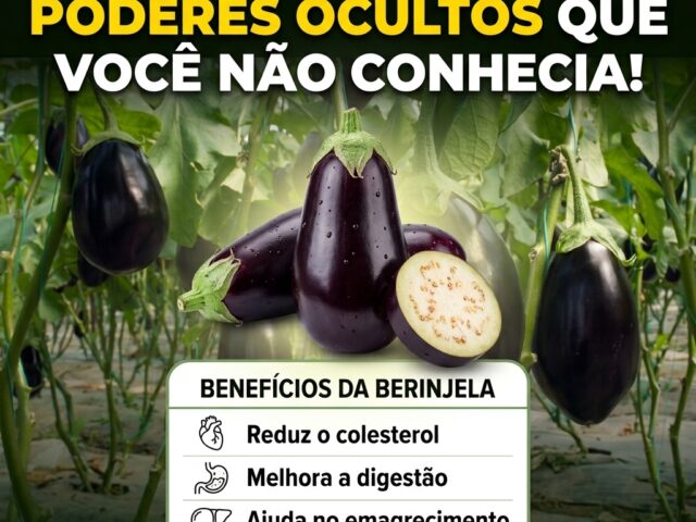 Água de Berinjela pela Manhã: Aliada para Reduzir Medidas nas Costas e Afinar a Cintura