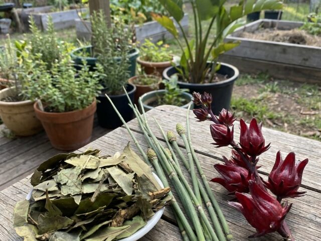 Chá Verde + Hibisco + Cavalinha: A Combinação 3 em 1 para Potencializar Seu Bem-Estar