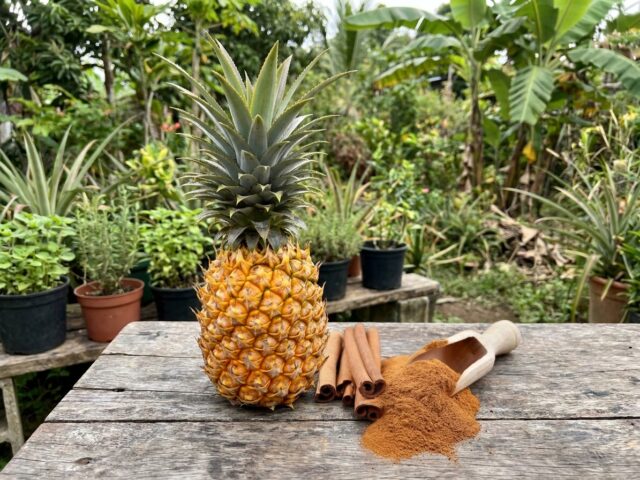 Suco com Abacaxi e Canela: ajuda a reduzir a pochete e desinchar a barriga em 7 dias